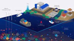 Bimonthly GFCR REEF+ Practitioner Discussion: M&E System Implementation card
